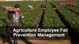 Agriculture Employee Fall Prevention